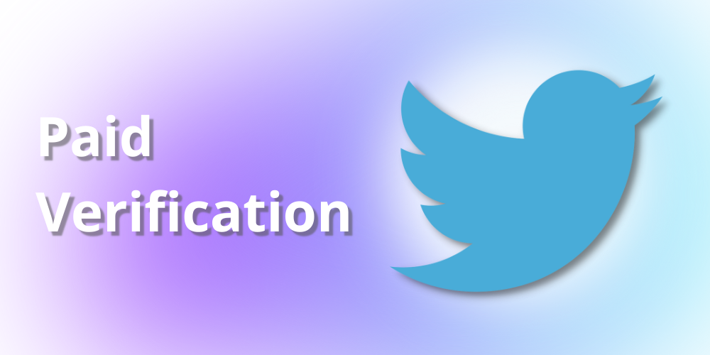 Twitter will introduce its verification feature called Twitter Blue after the elections.