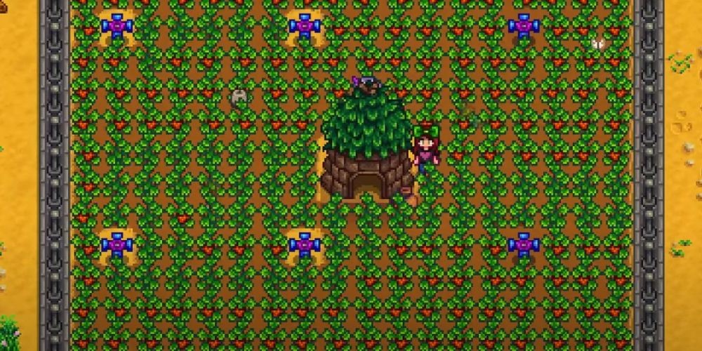 Optimizing Your Crop yield: Expert Tactics for Stardew Valley Enthusiasts